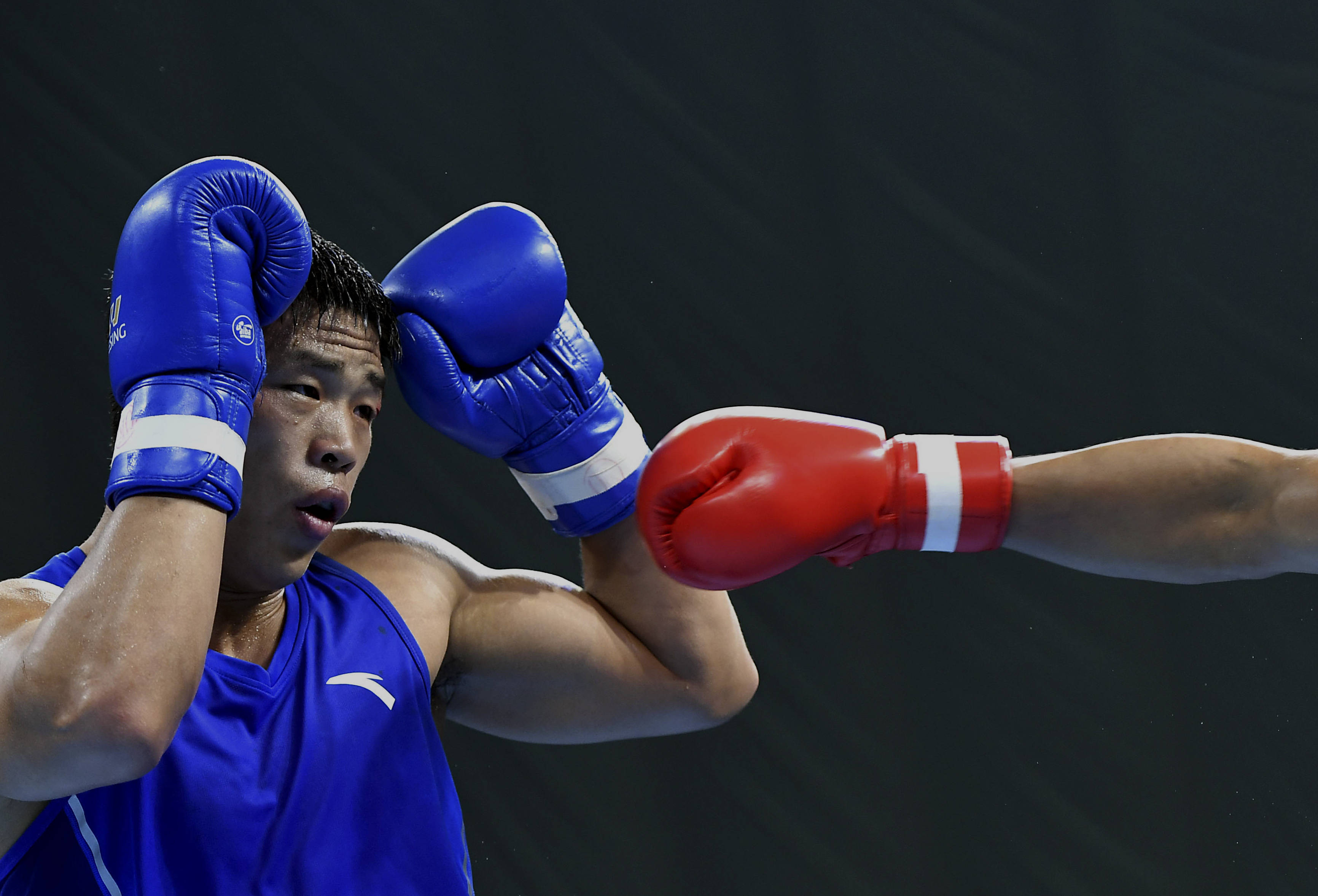 世界赛舞台，拳击代表国家出征荣耀的简单介绍