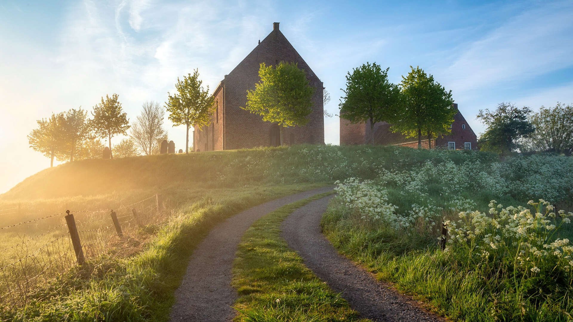 友谊赛奇观，佩德里转会埃及，连续灵光击穿多特蒙德