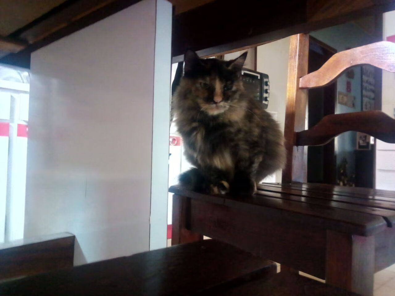 外科手术刀般撕裂！门迪西决生死战之夜上演单骑破阵奇迹