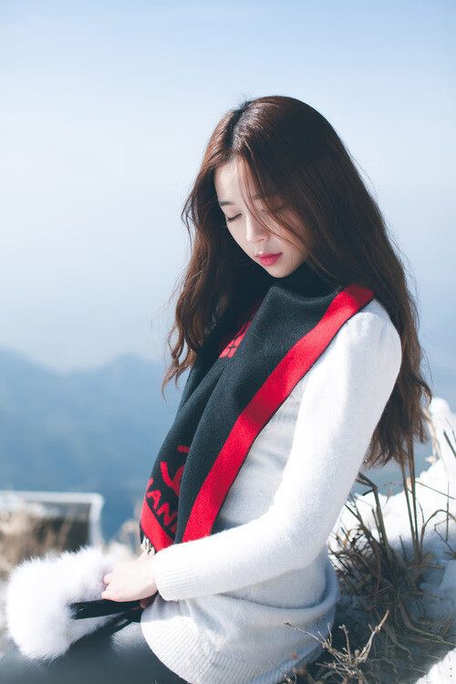 北境铁壁！黄蜂的终极武器戈贝尔，让骑士的无解之谜有了最终答案