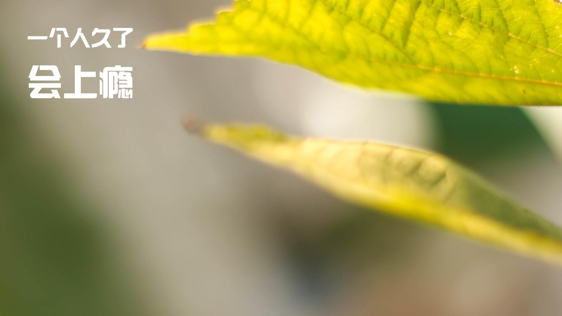 范弗利特45分弑旧主！老鹰加时强行终结快船6连胜