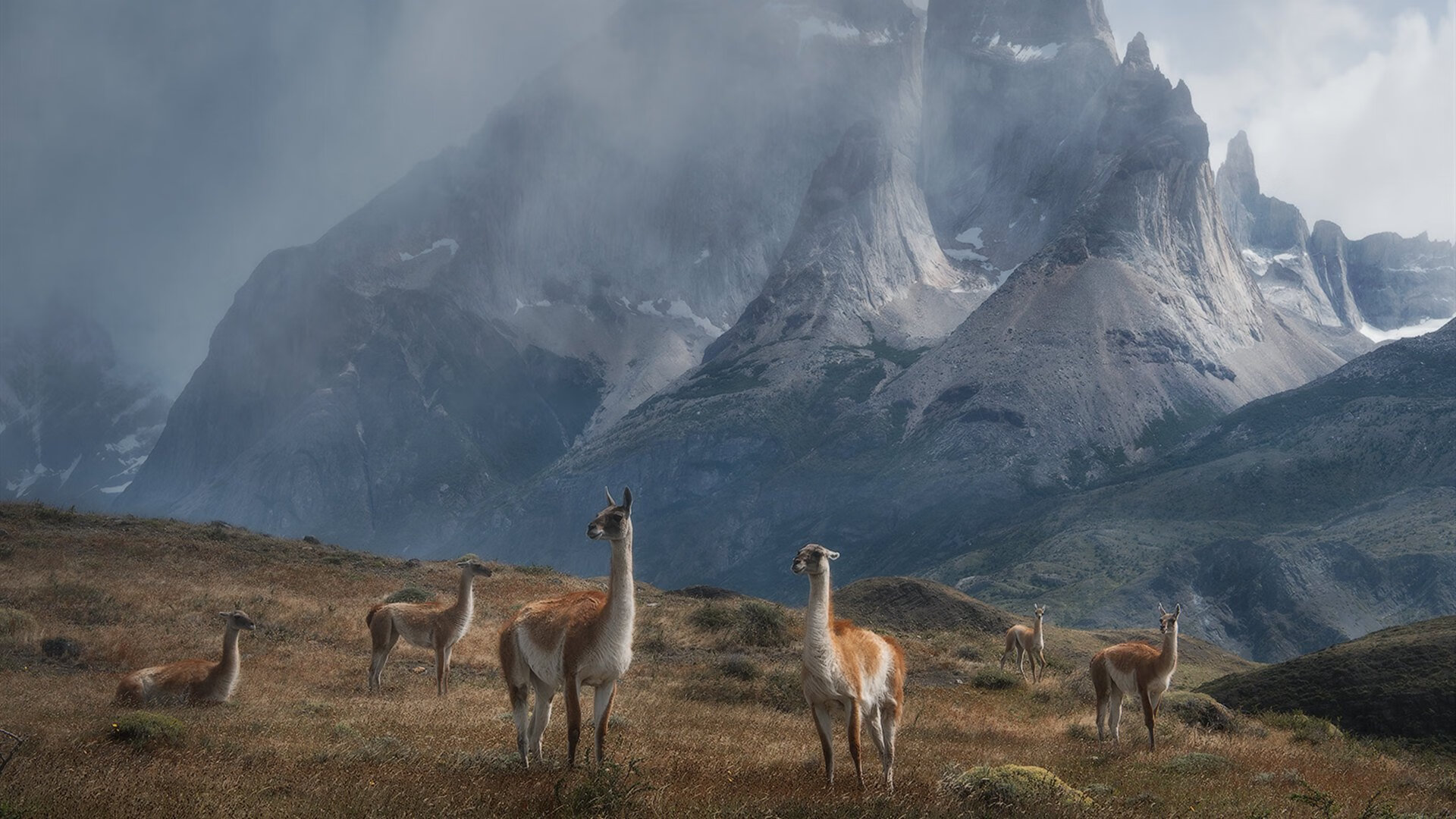 铁幕与火线,奥纳纳攻防统治下,巴西之刃收割佛罗伦萨