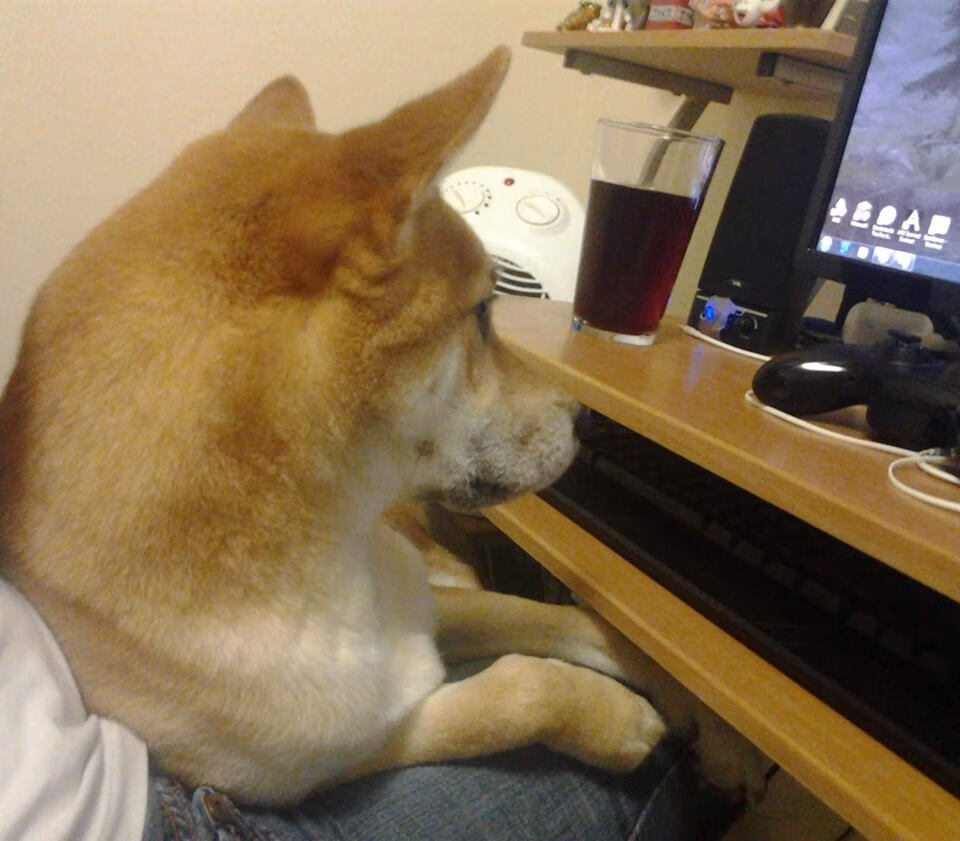 开云体育官网-当太极旗化为红龙之鳞，黄喜灿归化终结乌拉圭神话