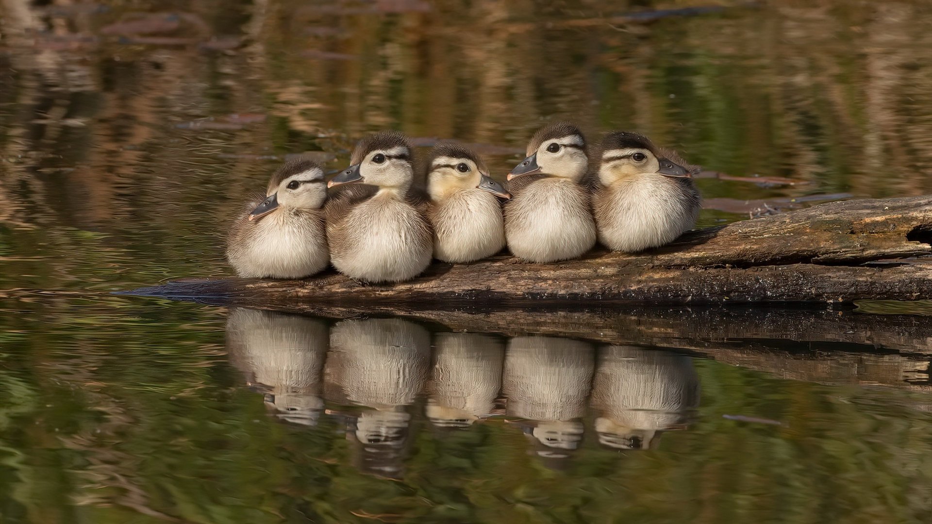 加维一锤定音！牙买加爆冷力克里昂，历史性杀入淘汰赛