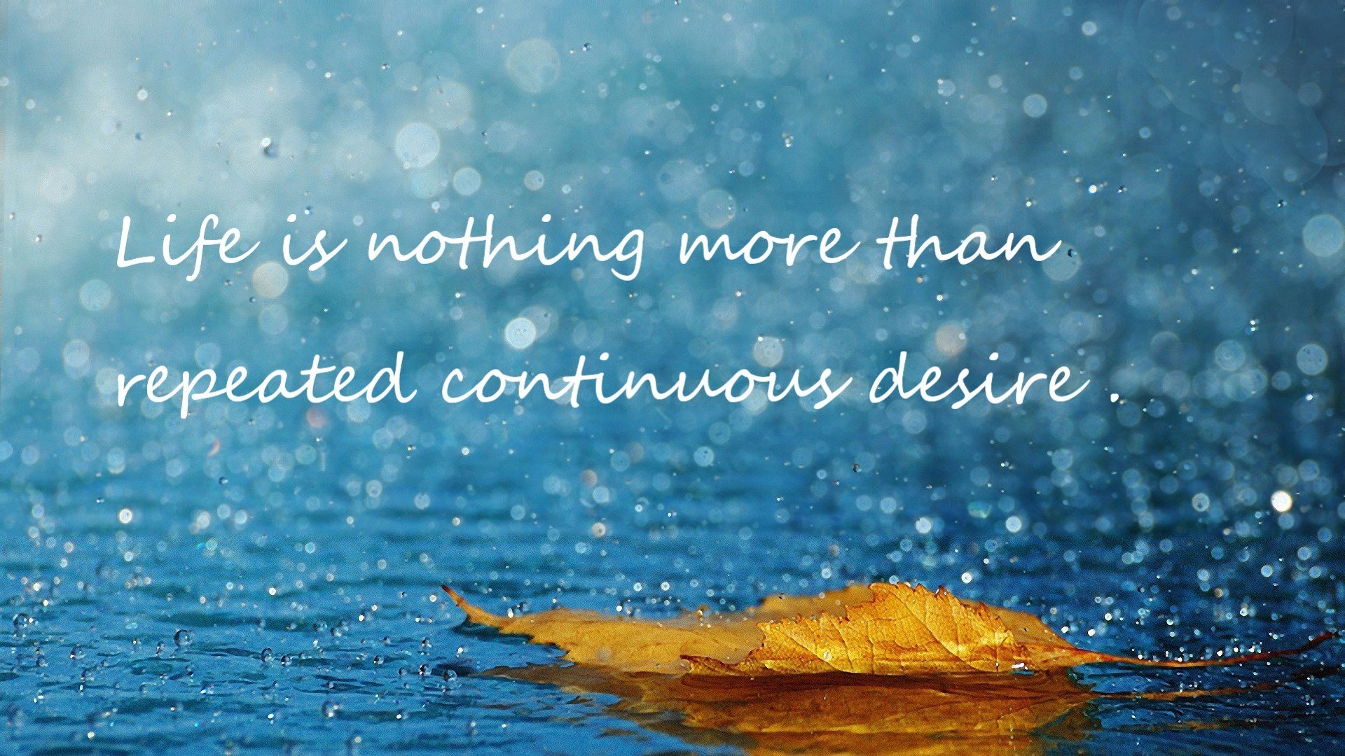 篮球手踢走欧冠心魔,德罗赞在伯纳乌的证明之夜