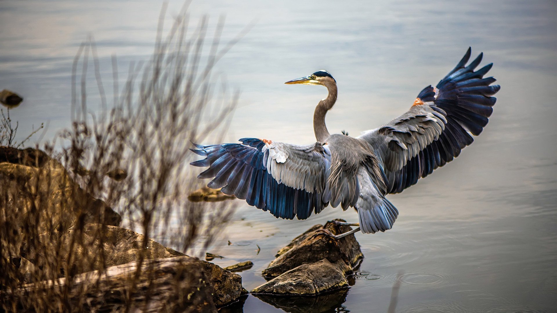 暗夜疾走，梅西如何成为拜仁加时取胜挪威的隐形引擎？