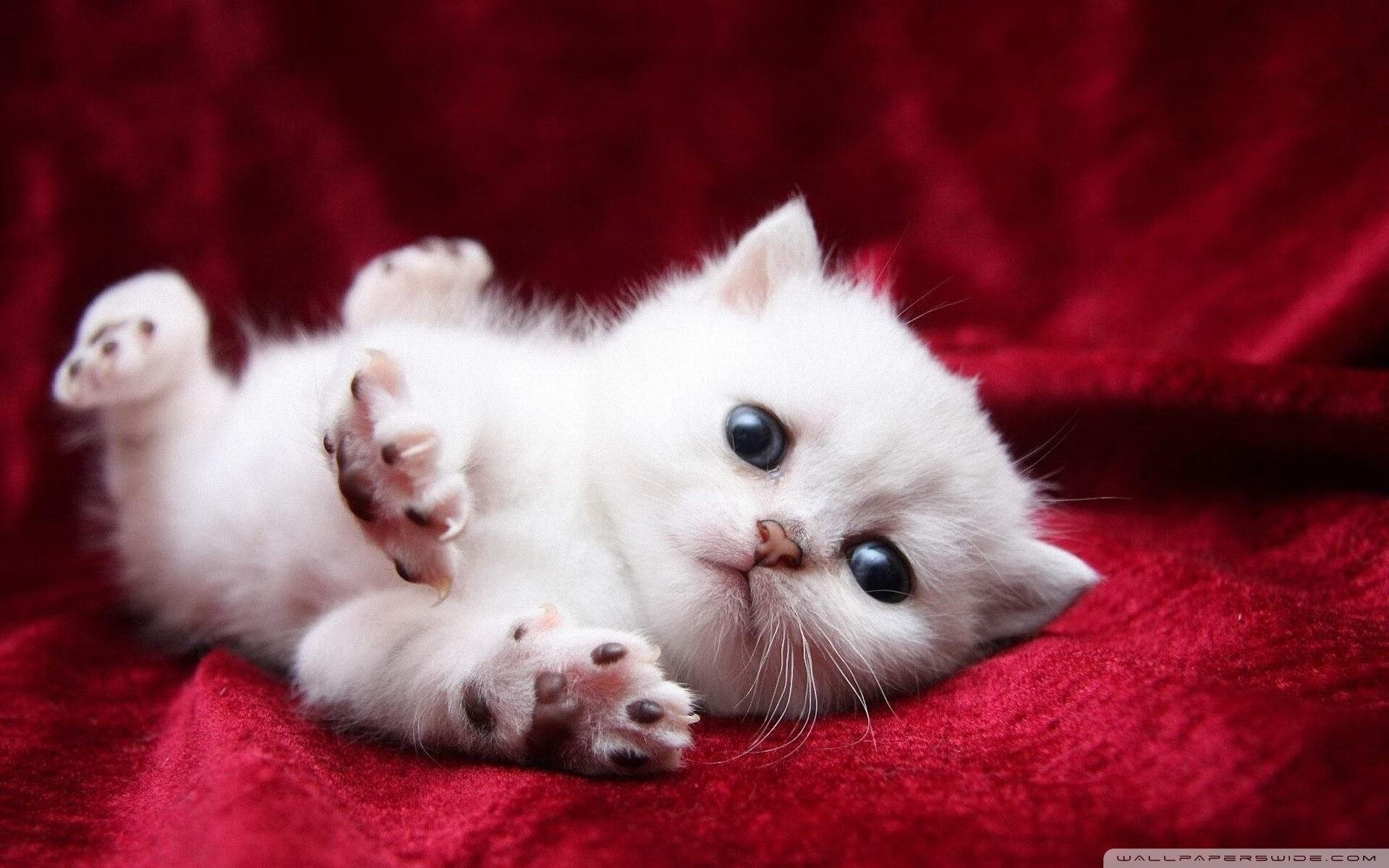 战术棋手or命运齿轮？巴斯托尼隔空助攻改写死亡之组结局