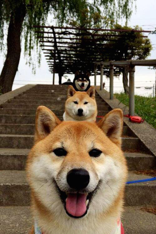 当数据风暴席卷风城,一场虚构对决中哈登的全面爆炸启示录