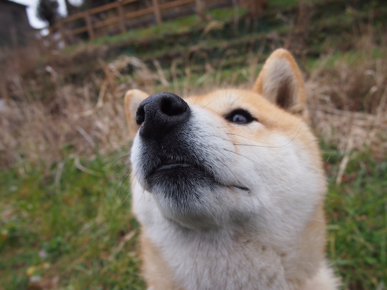 选择一，直指核心）