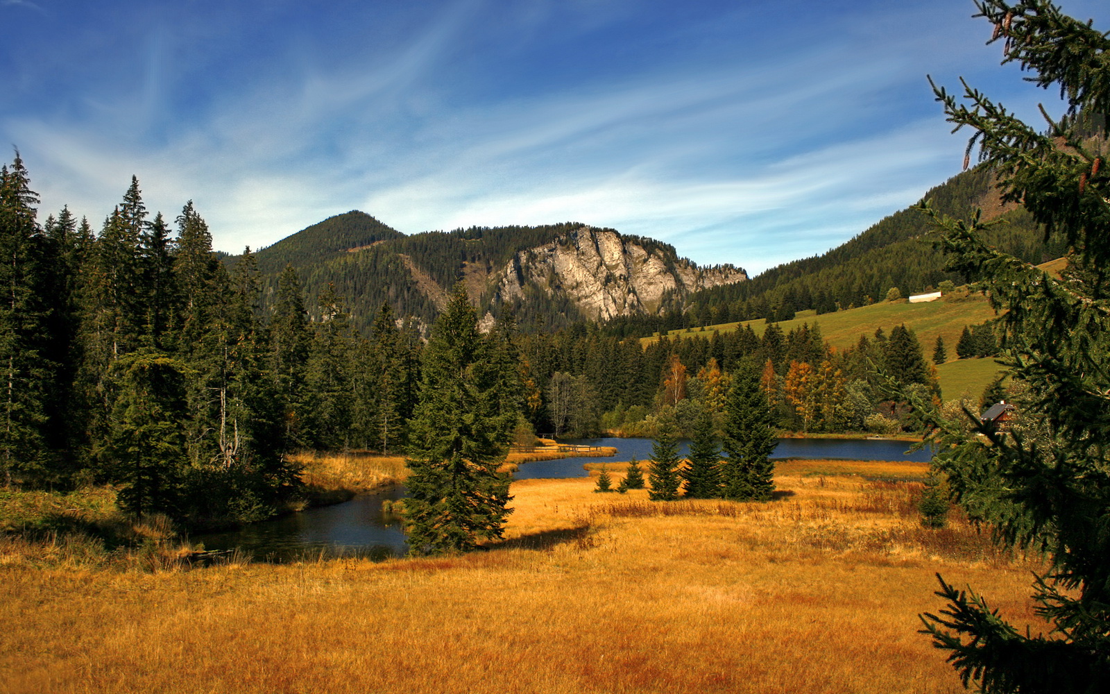 世界屏息注视的三秒，小贾伦·杰克逊如何将悬念变为公牛队轻松写意的胜利