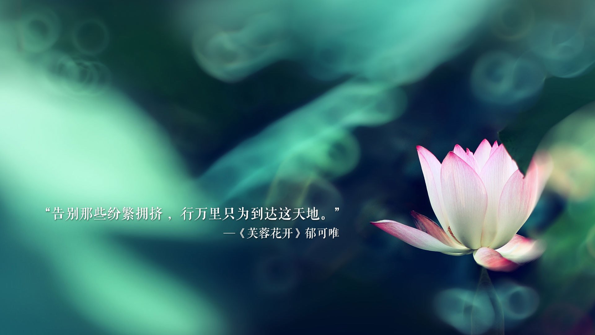 卡拉斯科一剑封喉,挪威的坚韧与克罗地亚的遗憾