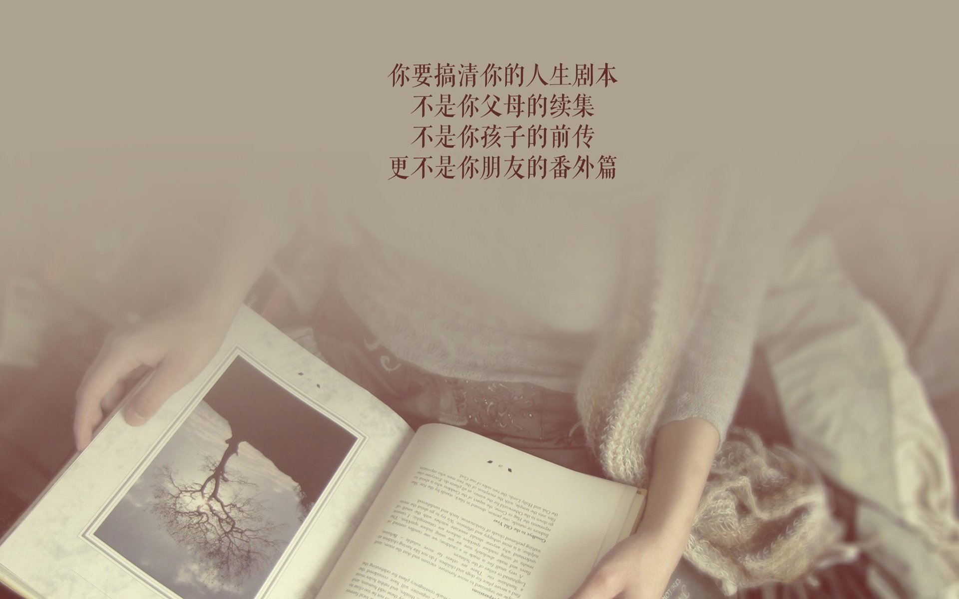北极星下的复仇,当斯洛伐克工业铁蹄踏碎黑星之光,萨卡在加纳伤口上谱写新王序曲