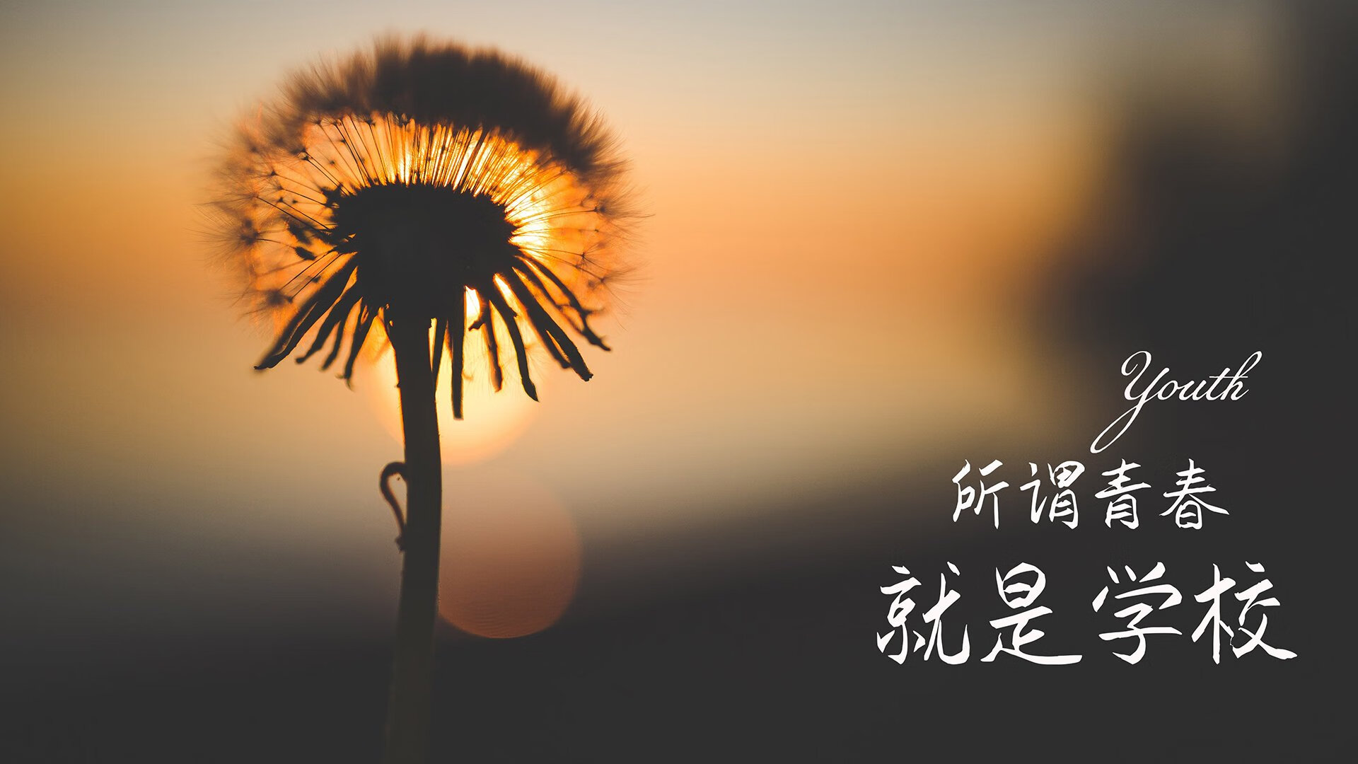冰与火之歌，当潘帕斯雄鹰的火焰，点燃北欧孤狼的寒冰—2026世界杯F组札记