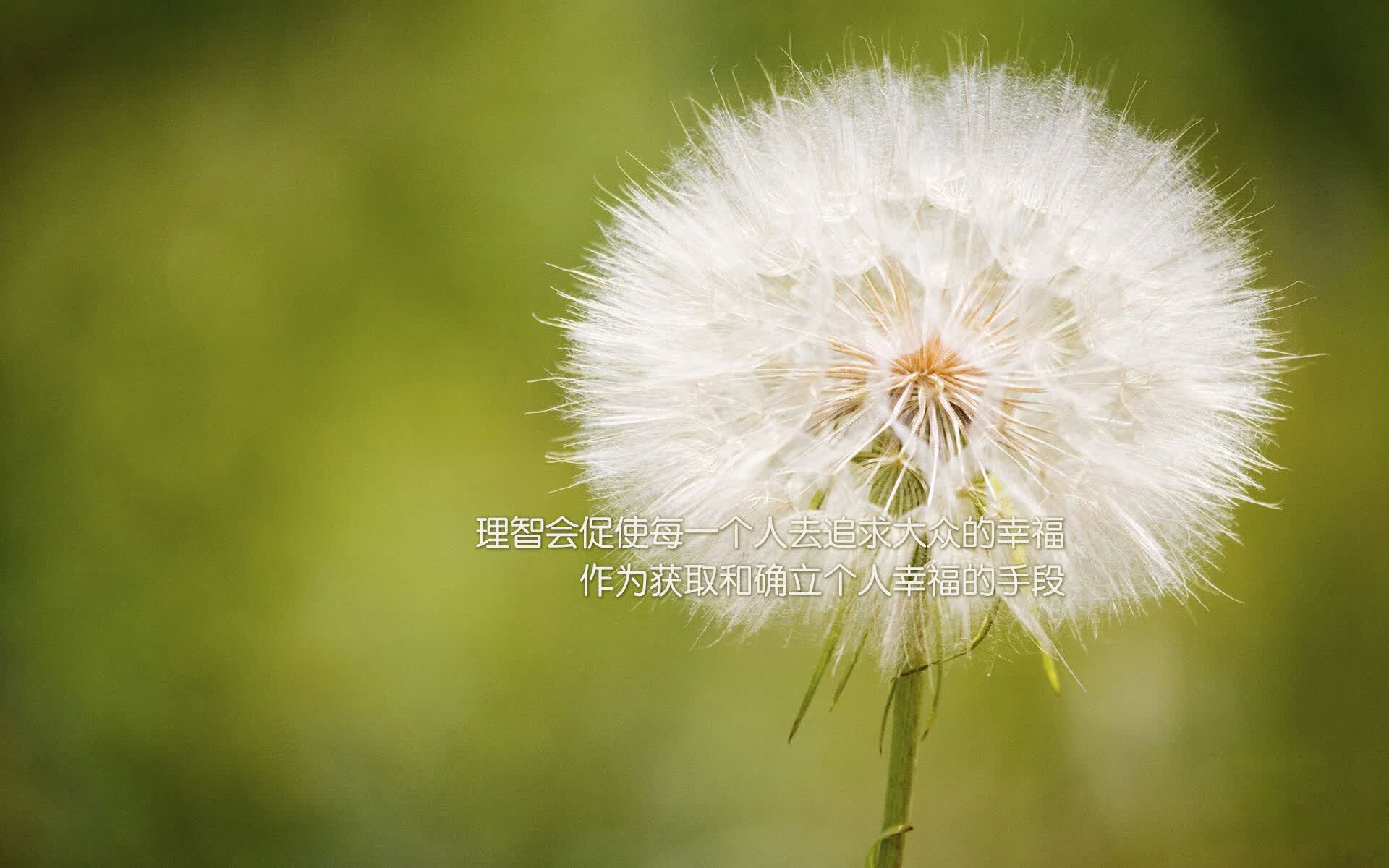 橙色风暴与叹息之墙,当荷兰的碾压美学,遇上库尔图瓦的唯一性时刻