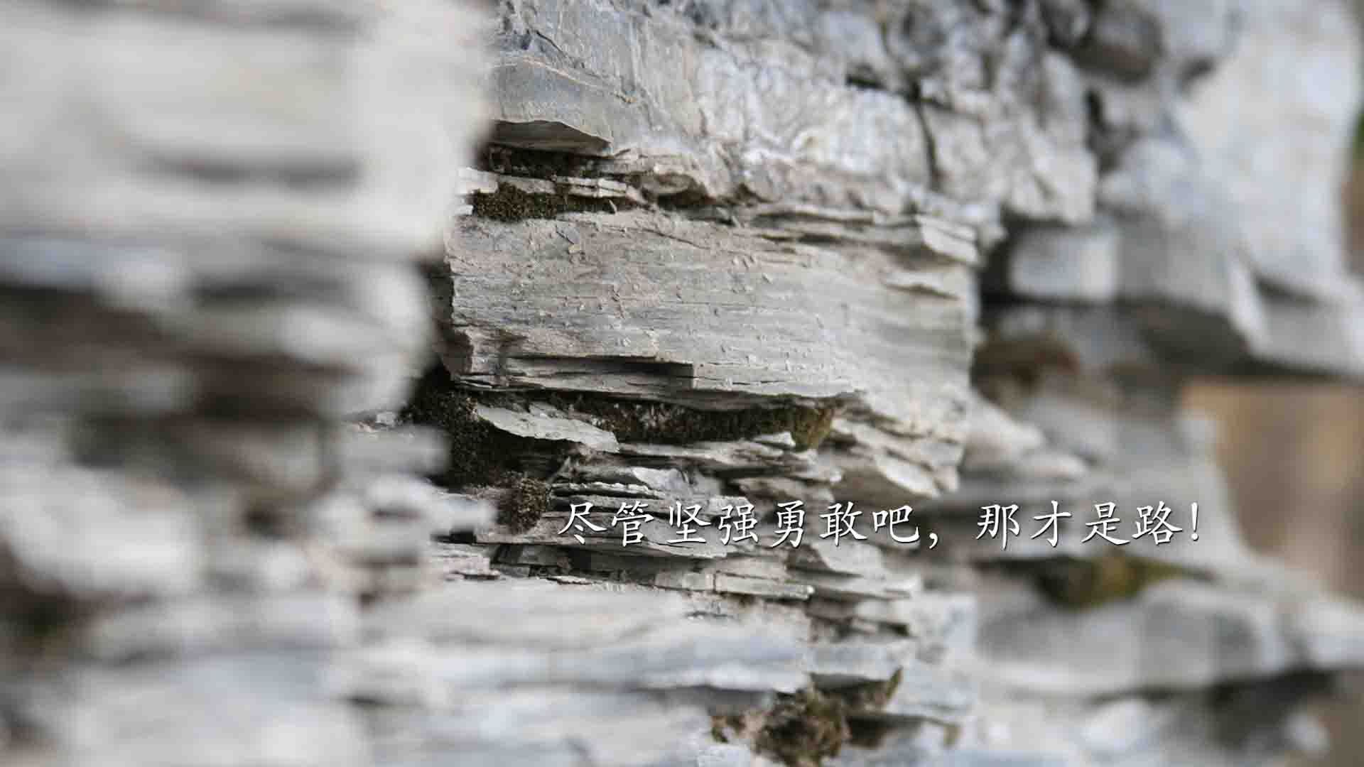 阿方索·戴维斯的非典型一击，当唯一性成为足球世界的新信仰