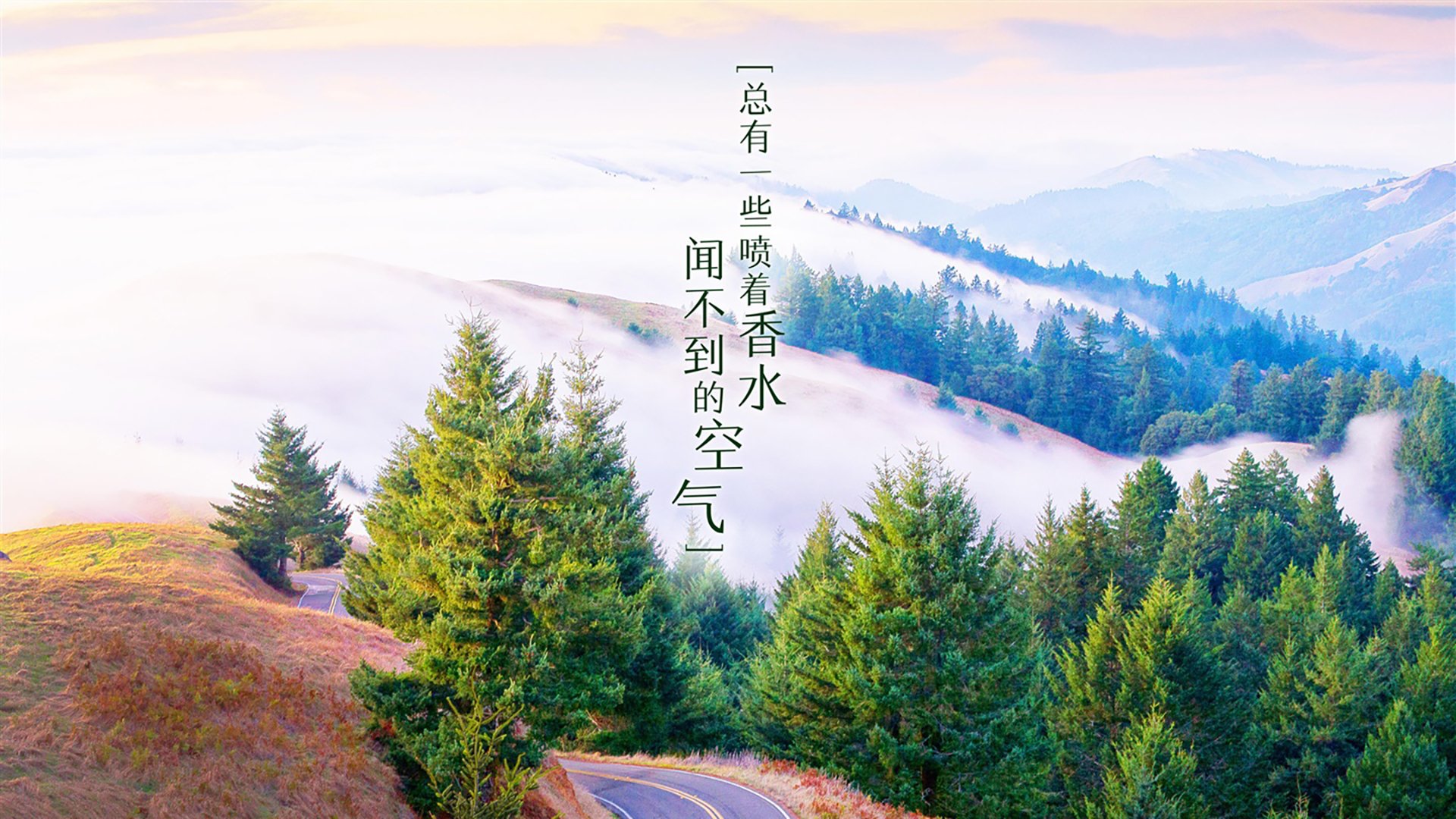 冰与火之歌的孤勇者，当范戴克用唯一性定义2026世界杯E组生死战