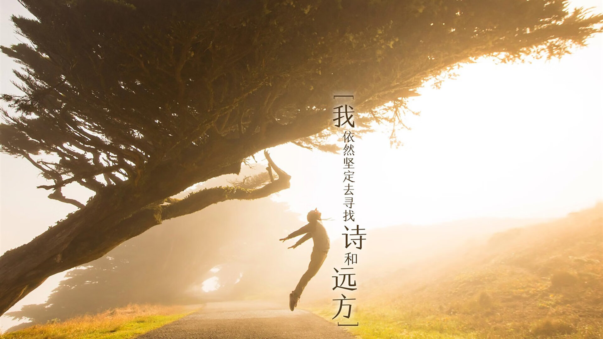 「修罗场」的唯一解答，当智利风暴横扫泰国，库尔图瓦用双手为D组写下唯一法则