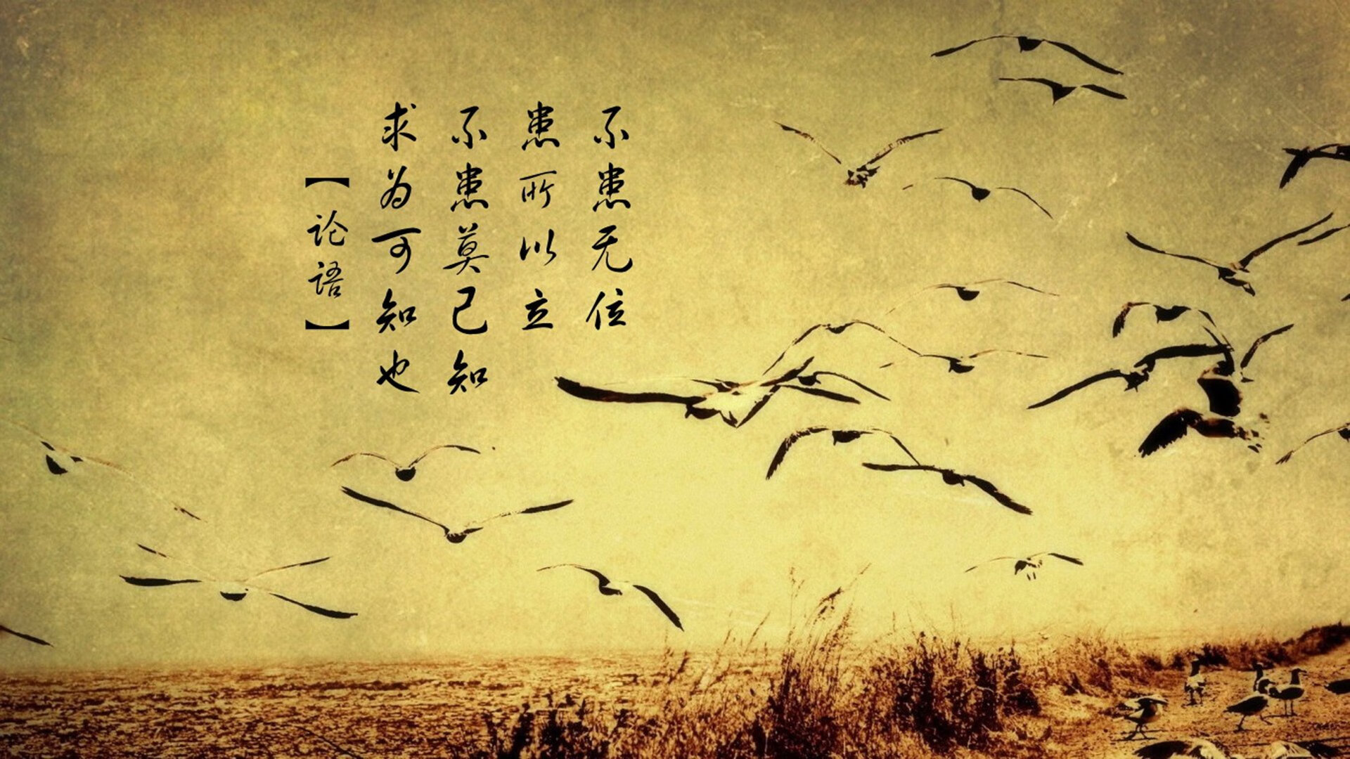 孤星对决，当高卢雄鸡在太极虎的领地上演绝地求生，维尼修斯成为撕裂黑夜的圣剑